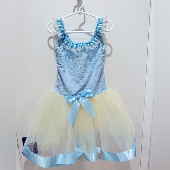 Evolution Dance Costume Cinderella - Picture 1 of 2